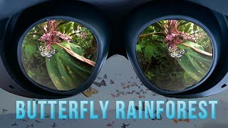 Spend a few minutes in VR at the Butterfly Rainforest in Gainesville, Florida | VR180 3D VR