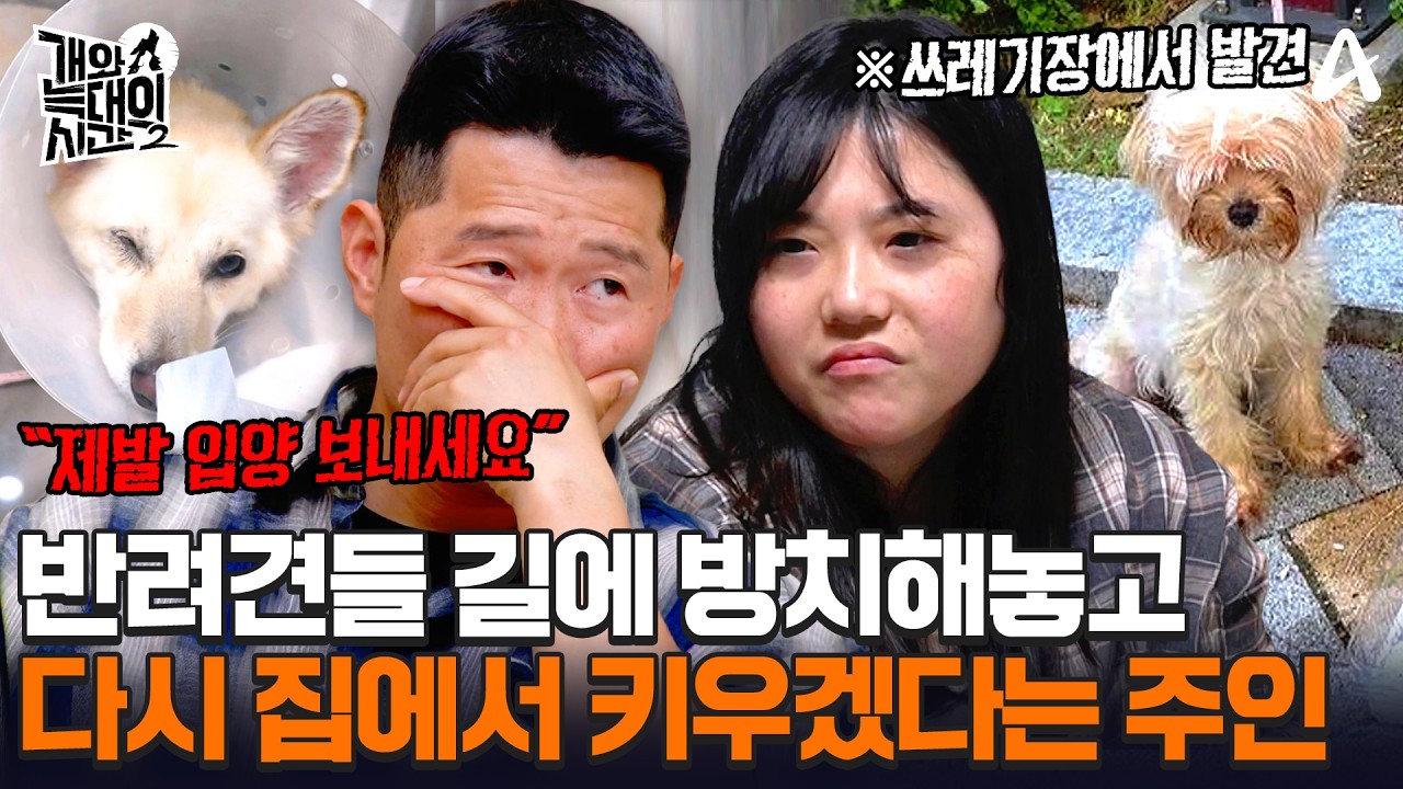 강형욱도 두 눈 뜨고 보기 힘들어하는 히죽이네💧 끝까지 입양 보내기 싫어서 오열하는 보호자ㅣ개와 늑대의 시간2