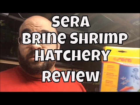 sera-artemia-breeding-kit-unboxing-2-litter-brine-shrimp-hatchery-angel-fish-fry