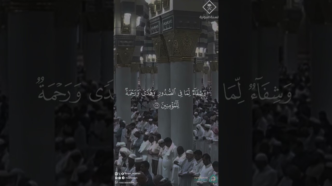 مقتطف من تلاوة فضيلة الشيخ #محمد_برهجي من صلاة العشاء 11 ربيع الأول 1448 هـ #المسجد_النبوي