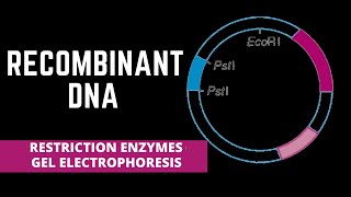 RECOMBINANT DNA & RESTRICTION ENZYMES
