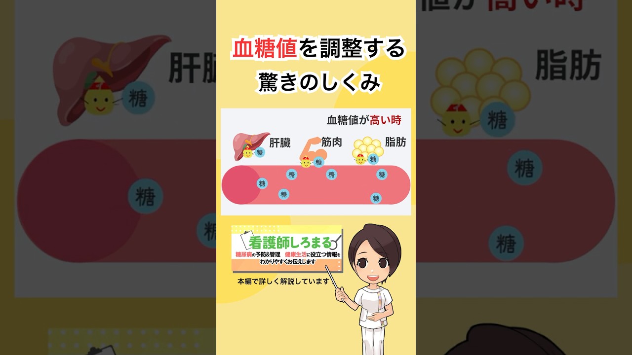 インスリンはどんな働きをしているのか