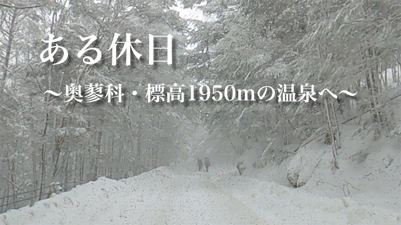 【公式】ピカ子の休日、こんな風に過ごしてます〜life is one