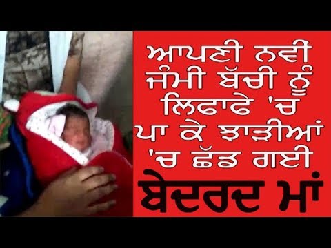 Batala ਬੇਰਹਿਮ ਮਾਂ ਨੇ ਬੱਚੀ ਨੂੰ ਸੁੱਟਿਆ ਝਾੜੀਆਂ `ਚ