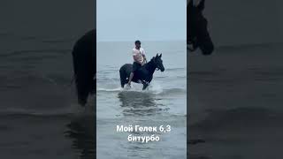 Каспийское море, Республика Дагестан пос. Приморск!