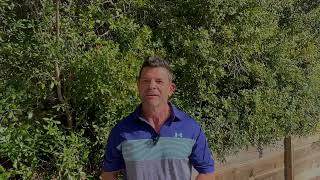 Lost Key Beach & Golf Resort WORLD IMPACT REAL ESTATE