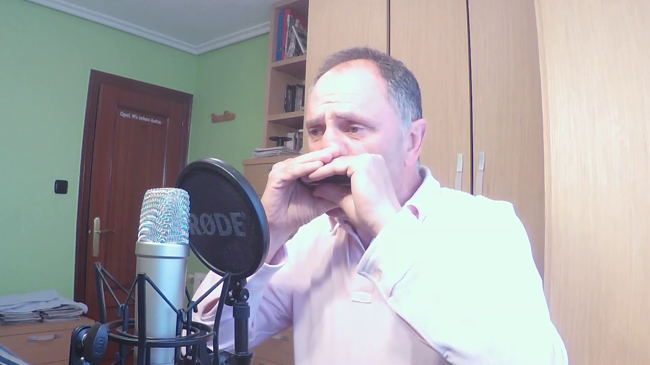 Venus Shocking Blue instrumental harmonica armónica - YouTube