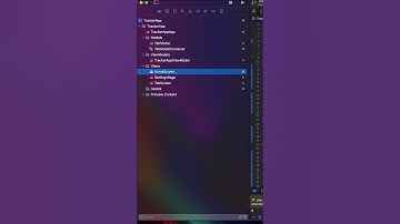Reset Values Daily| SwiftUI App on shorts ! PART 100!!! 💯
