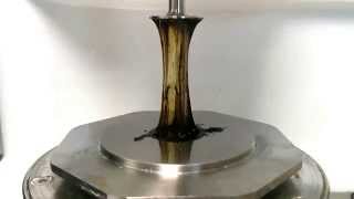Scenadesmus oil rheometry.