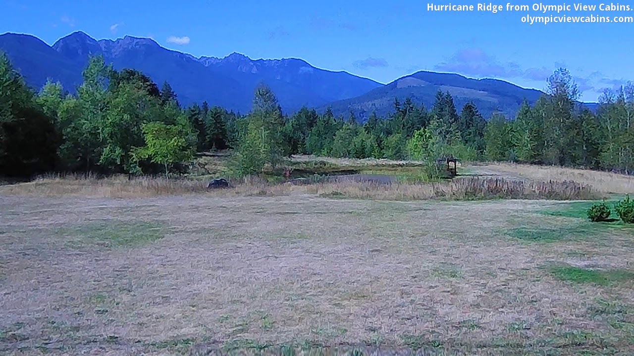 Hurricane Ridge Camera 2019-09-04 Olympic View Cabins Hurricane Ridge Cam - YouTube