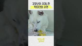 학대당한 강아지의 충격적인 사연