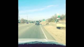 bird crashes into windshield