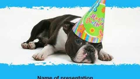 Happy Birthday Puppy PowerPoint Template by PoweredTemplate.com