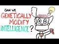 Can We Genetically Improve Intelligence?