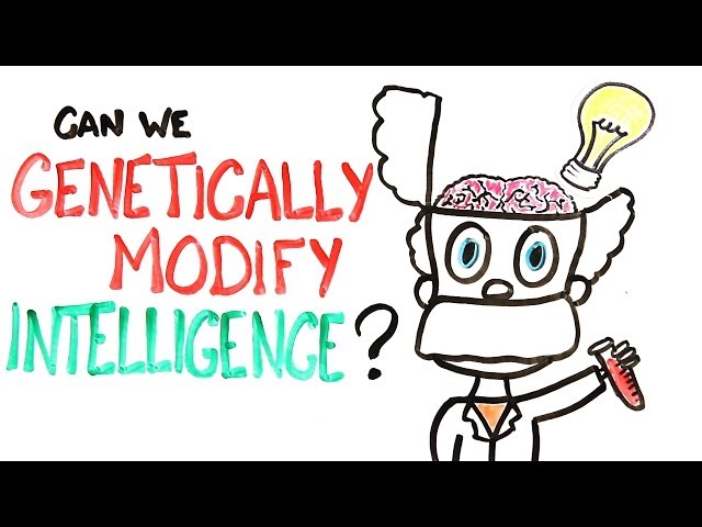 Can We Genetically Improve Intelligence?