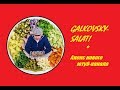 073. Дим Димыч о канале Galkovsky-salat