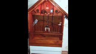 Muhteşem Ahşap Muhabbet Kuşu Kafesi El Yapimi