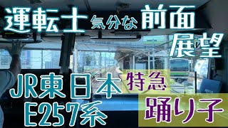 特急 踊り子 E257系 運転士気分になれる 前面展望動画【JR東日本 東海道線】