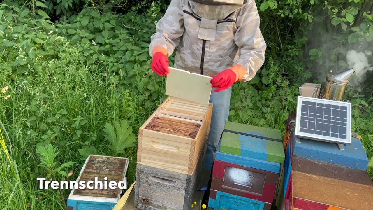 Selbstgebaute Bienenflucht in Mini Plus Überwinterungs-System