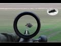 Best moments - December 2015 - driven hunt compilation - Drückjagd Beste Momente Chasse en battue