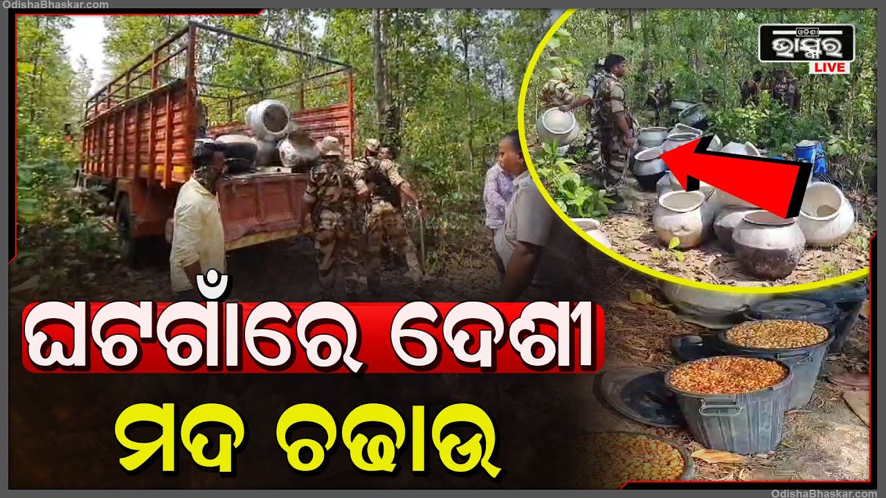 ନିଶାଦ୍ରବ୍ୟ ଉପରେ ଶକ୍ତ ନଜର ।୧୦୦ରୁ ଉର୍ଦ୍ଧ୍ବ ମଦ ରନ୍ଧା ପାଇଁ ବ୍ୟବହୃତ ହାଣ୍ଡି ଗୁଡିକୁ ଜବତ କରିଛି ପୋଲିସ