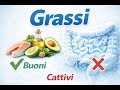 Microbiota Intestinale e Grassi: cosa infiamma l’organismo?