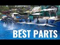 Best parts of the Dolphin Adventures | Sea World, San Diego