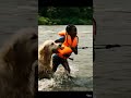 Loyal Golden Retriever "Rescues" Girl in the River! 🐕💦