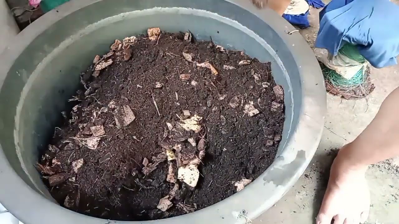 หมักดินใว้เพาะปลูกแบบช่างกลึงอยากทำเกษตร