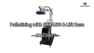 Palletizing Workstation with ERA-M30 and lift