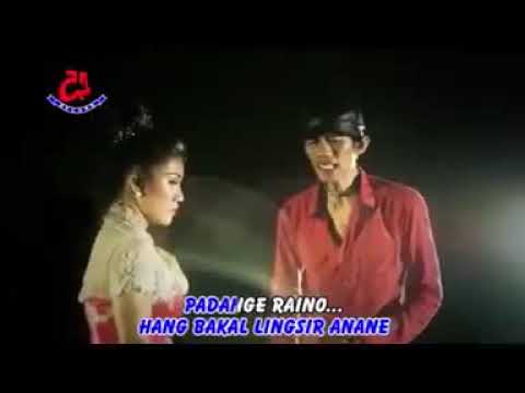 Widodari - Kang Catur