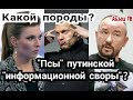 Путинская "информационная свopa"(Соловьев, Симоньян, Скабеевы)- с какими породами собак ассоциации?