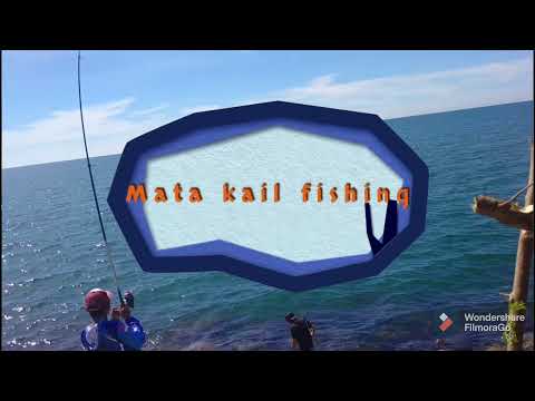 Ikan Bebatik