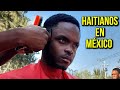 Haitianos en mxico  documental  por qu se van de hait 