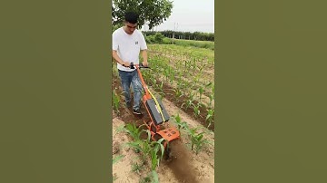 Mini Tiller Machine in Action | Powerful Farming Tool for Easy Soil Preparation part 746