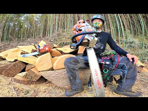 大きな木の伐採(特殊伐採)やります。 強烈に屋根に覆いかぶさった大木の特殊伐採♪ 神戸市 - YouTube