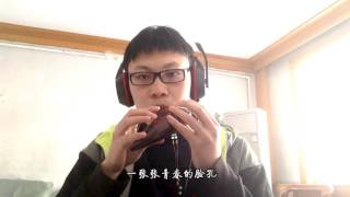 青岛农业大学校歌《播种希望》-陶笛演奏