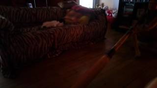 Dropped by Space Cats