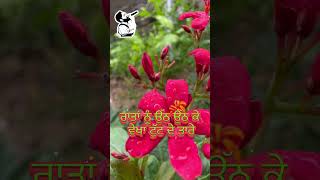 Butta #babbumaan #song #evergreen