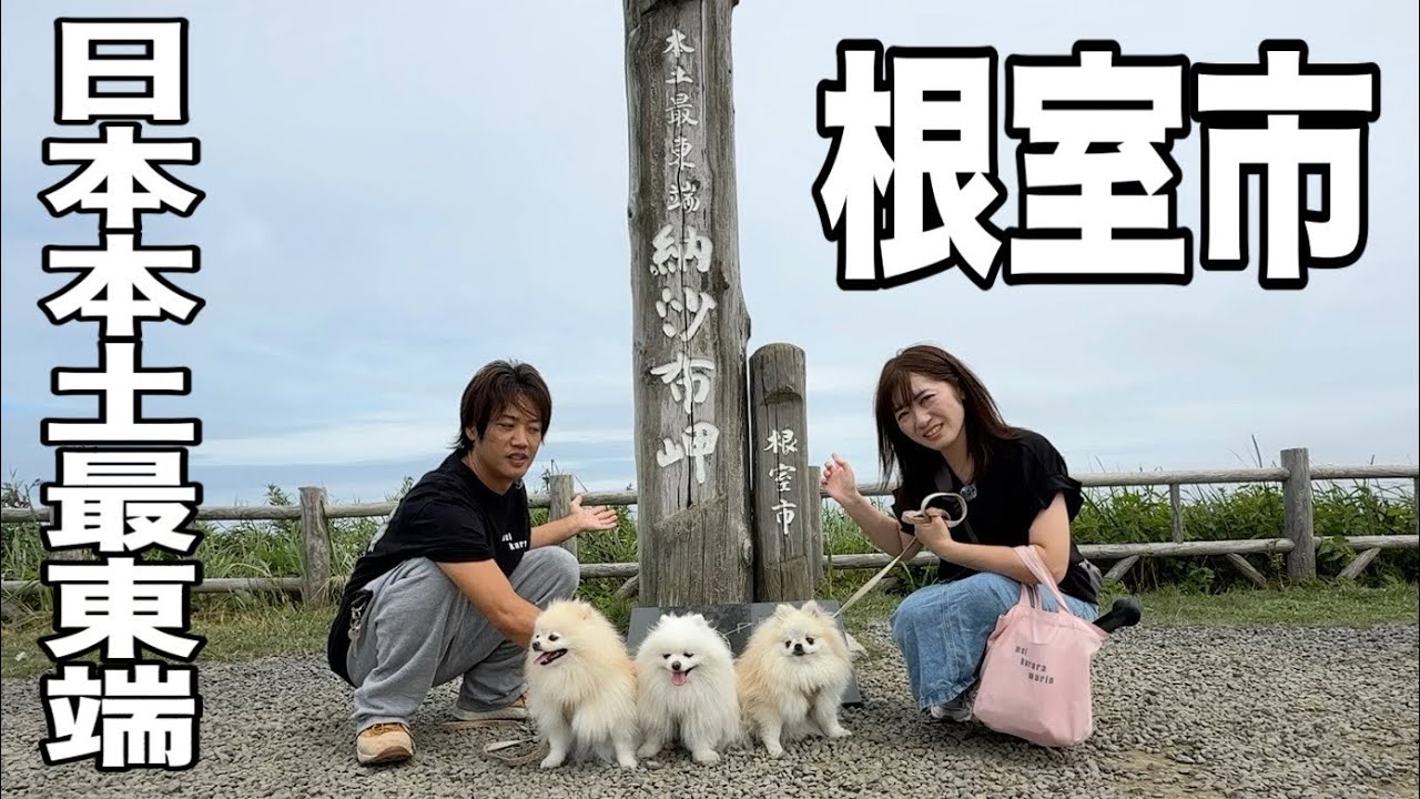 日本の最東端の根室市観光！野生のラッコに遭遇しました