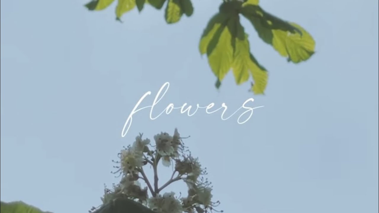 FLOWERS | Cinematic | iPhone 12 Pro Max