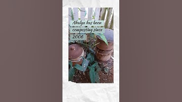 Daily Dump Humans of Composting - Ahalya Kumar