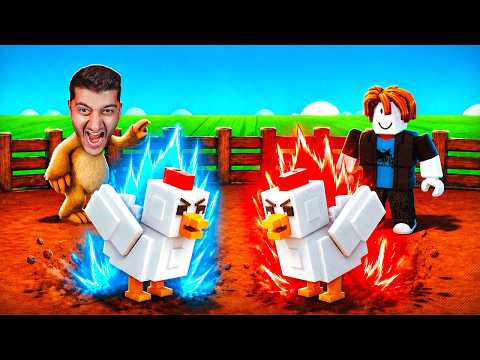 Raise a chicken fighter