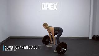 Sumo Romanian Deadlift - OPEX Exercise Library