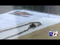 America's oldest flag to be on display in Bristol