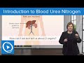 Introduction to blood urea nitrogen bun test  medsurg  lecturio nursing