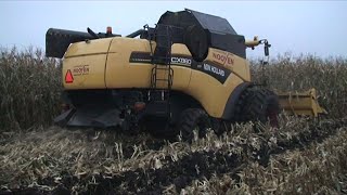 Maïs 2010 | Corn harvest in the mud | New Holland CX860 op dubbellucht net niet vastgereden | Nooyen