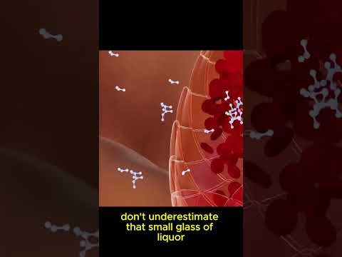 Alcohol abuse PT.1                                             #curiosity #sciencefacts #science