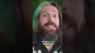 Unlocking the Power of CPM and Frequency... Facebook Ad Metrics Decoded