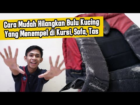 Video: Cara Menggunakan Alat Pembersih Permaidani Jenama Bissell